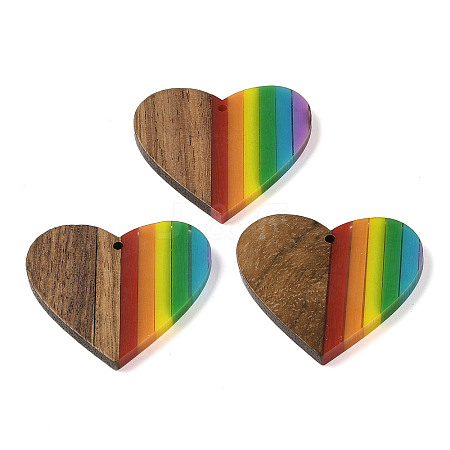 Pride Rainbow Theme Resin & Walnut Wood Pendants WOOD-K012-03-1