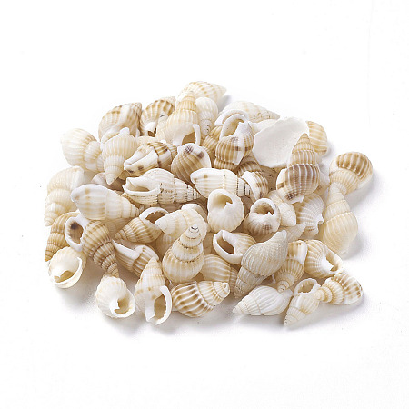 Spiral Shell Home Decorations BSHE-PH0001-08-1