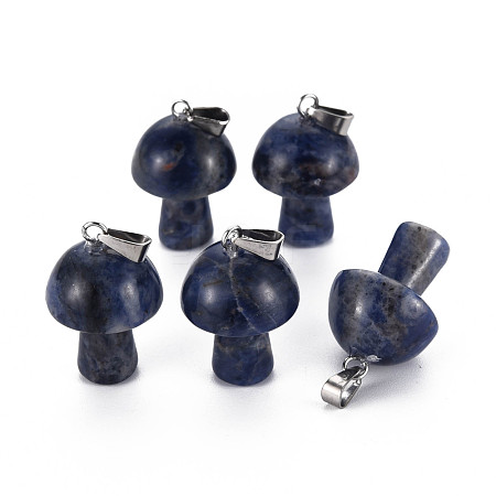 Natural Sodalite Pendants G-N0325-10K-1