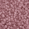 FGB Frosted Transparent Glass Seed Beads SEED-N013-02A-06-3