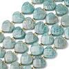 Natural Amazonite Beads Strands G-L654-M01-01-2