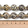 Natural Dalmatian Jasper Beads Strands G-C249-A02-16mm-6