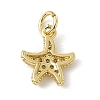 Brass Micro Pave Cubic Zirconia Charms ZIRC-F132-13G-2