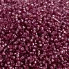 MIYUKI Round Rocailles Beads SEED-G009-RR0645-2