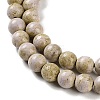 Natural Rainbow Alashan Agate Beads Strands G-NH0022-A02-01-4