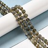 Natural Labradorite Beads Strands G-P508-A20-01-2