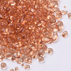 Glass Seed Beads SEED-Q027-B-10-2