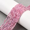 Natural Pink Tourmaline Beads Strands X-G-N342-33A-5