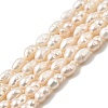 Natural Cultured Freshwater Pearl Beads Strands PEAR-I007-01P-03B-2