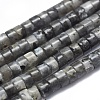 Natural Larvikite Beads Strand G-A177-01S-05-1