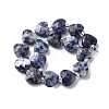 Natural Blue Spot Jasper Beads Strands G-P570-E19-01-3