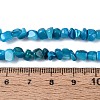 Natural Freshwater Shell Beads Strands SHEL-N037-04I-4