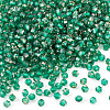Picasso Baking Paint Glass Seed Beads SEED-TA0001-62G-2