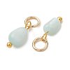 Brass Glass Charms PALLOY-JF05889-2