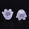 Transparent Acrylic Bead Caps FACR-N005-002F-4