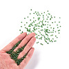 8/0 Glass Seed Beads SEED-A005-3mm-27-4