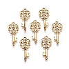 Tibetan Style Alloy Pendants LS-GLF11137Y-2