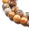 Natural Crazy Agate Beads Strands G-C179-A22-02-4