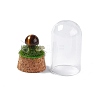 Natural Tiger Eye Mushroom Display Decoration with Glass Dome Cloche Cover G-E588-03F-4