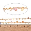 Brass & Glass Seed Beaded Chain KK-CBA3B44-01G-2
