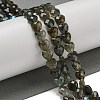 Natural Labradorite Beads Strands G-P544-E01-01-2