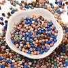 Baking Painted Glass Seed Beads SEED-C004-01R-2