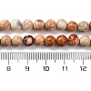 Dyed Natural Regalite/Imperial Jasper/Sea Sediment Jasper Beads Strands G-B124-C02-10-3