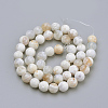 Natural Weathered Agate Beads Strands G-S249-09-8mm-2