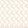 30Pcs 304 Stainless Steel Leverback Earring Findings STAS-BBC0009-22-1