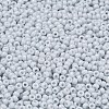 MIYUKI Round Rocailles Beads SEED-G007-RR0598-2