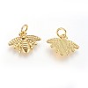 Brass Charms KK-G364-10G-2