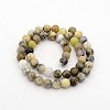 Natural Moss Agate Round Bead Strands G-P070-60-4mm-2