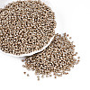 8/0 Glass Seed Beads X1-SEED-A017-3mm-1107-4