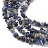 Natural Sodalite Chips Beads Strands X-F024-6