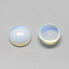 Opalite Cabochons G-R416-12mm-49-2