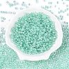 6/0 Transparent Inside Colours Glass Seed Round Beads SEED-N006-004C-2