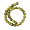 Natural Gemstone Beads Z0SRR012-5