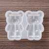 DIY Bear Display Decoration Silicone Molds DIY-P068-01-2