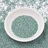 MIYUKI Delica Beads X-SEED-J020-DB2313-2