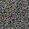 MIYUKI Round Rocailles Beads X-SEED-G008-RR4557-2