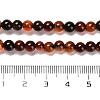 Natural Carnelian Beads Strands X-G-B079-A03-01-5