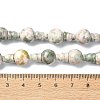 Natural Green Line Jasper 3-Hole Guru Bead Strands G-K149-41-4