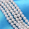 Natural Cultured Freshwater Pearl Beads Strands PEAR-L001-F-07-1