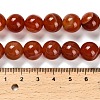 Dyed Natural Agate Beads Strands G-G203-10L-12mm-5