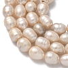 Natural Cultured Freshwater Pearl Beads Strands PEAR-D003-01D-13-4