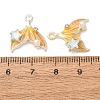 Alloy & Crystal Rhinestone & Enamel Pendants RB-CBAC8D9-02S-02-3