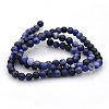 Natural Sodalite Round Beads Strands G-N0120-19-4mm-2