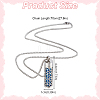 2Pcs 2 Styles Anti-Tarnish Stainless Steel Mini Hollow Column Perfume Bottle Necklaces NJEW-DR0001-02B-2