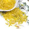Glass Round Bugle Beads SEED-XCP0001-47C-1