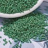 MIYUKI Delica Beads SEED-MY11-DB0877-1